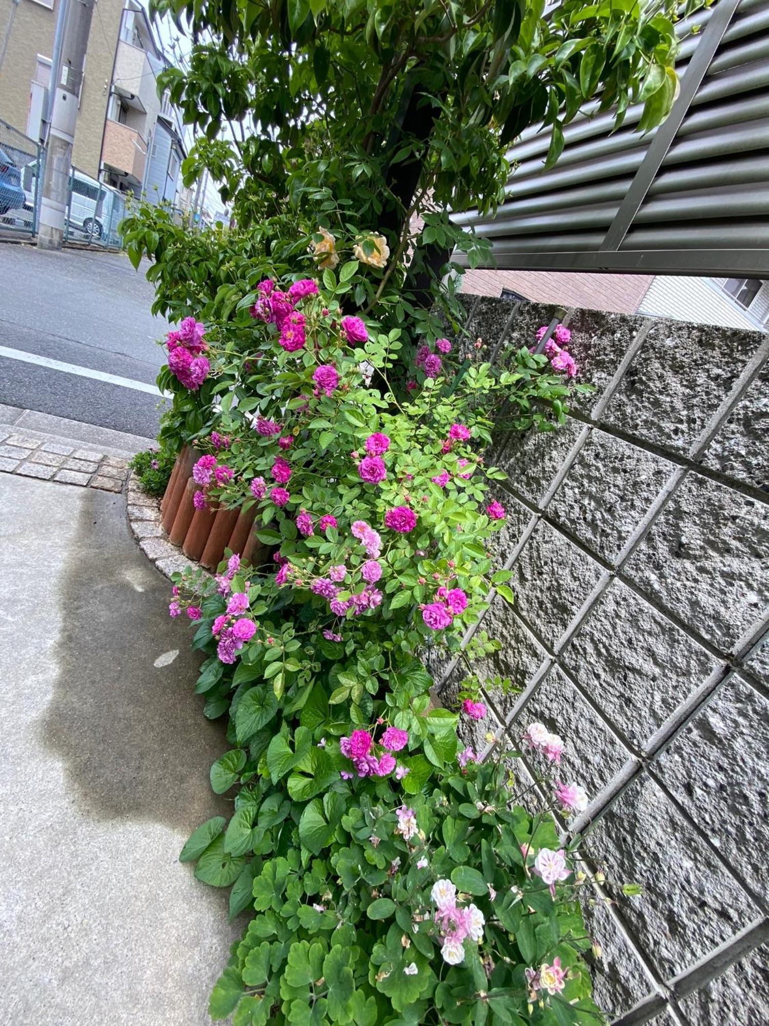 遥華-Haruka House Quioto Exterior foto
