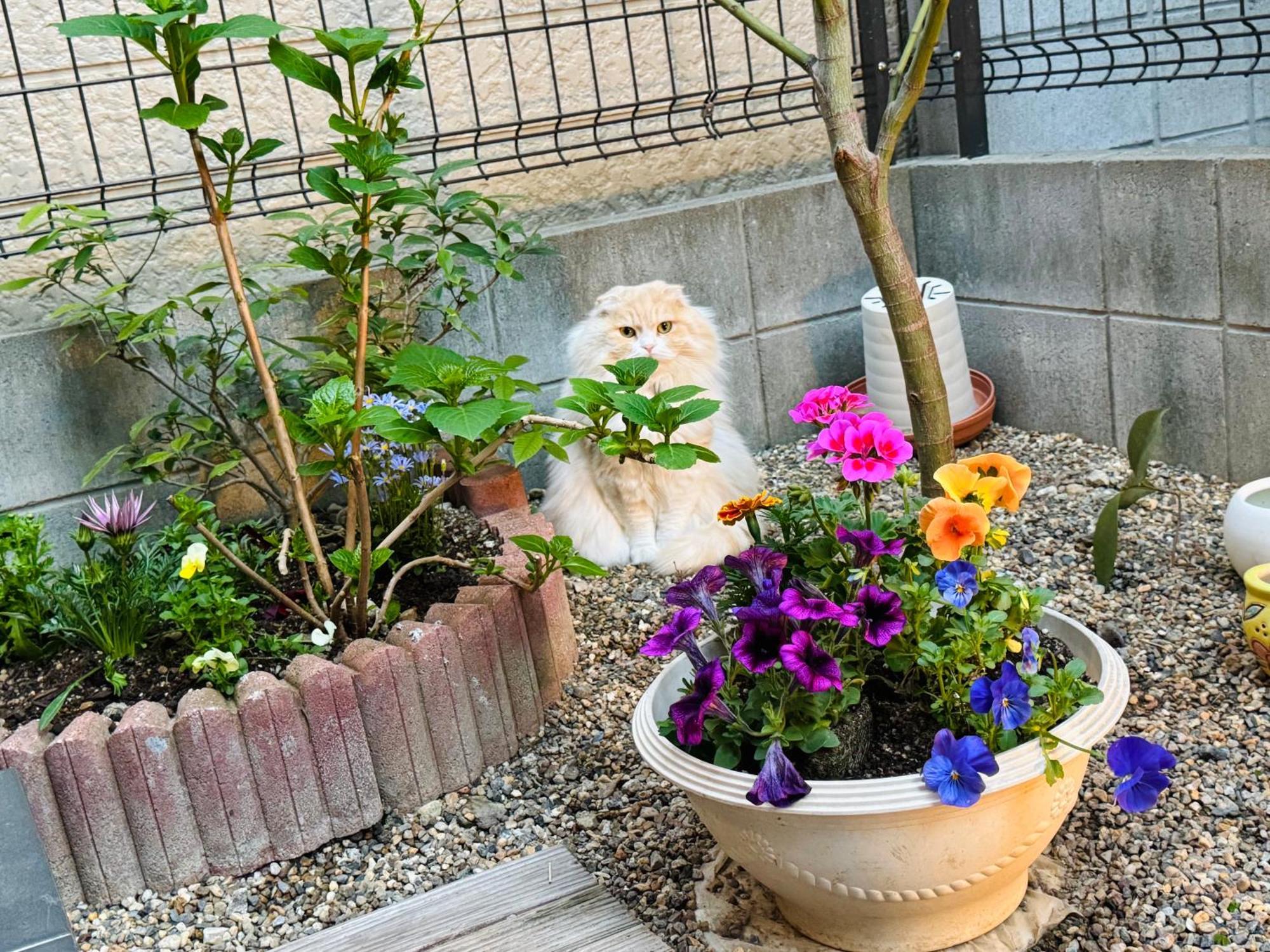 遥華-Haruka House Quioto Exterior foto